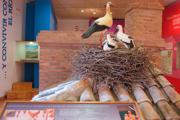 Centro de interpretación Sotos del Ebro y sus cigüeñas