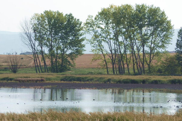 Area natural singular Laguna de Hervías