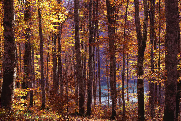 Reserva de la Biosfera de La Rioja