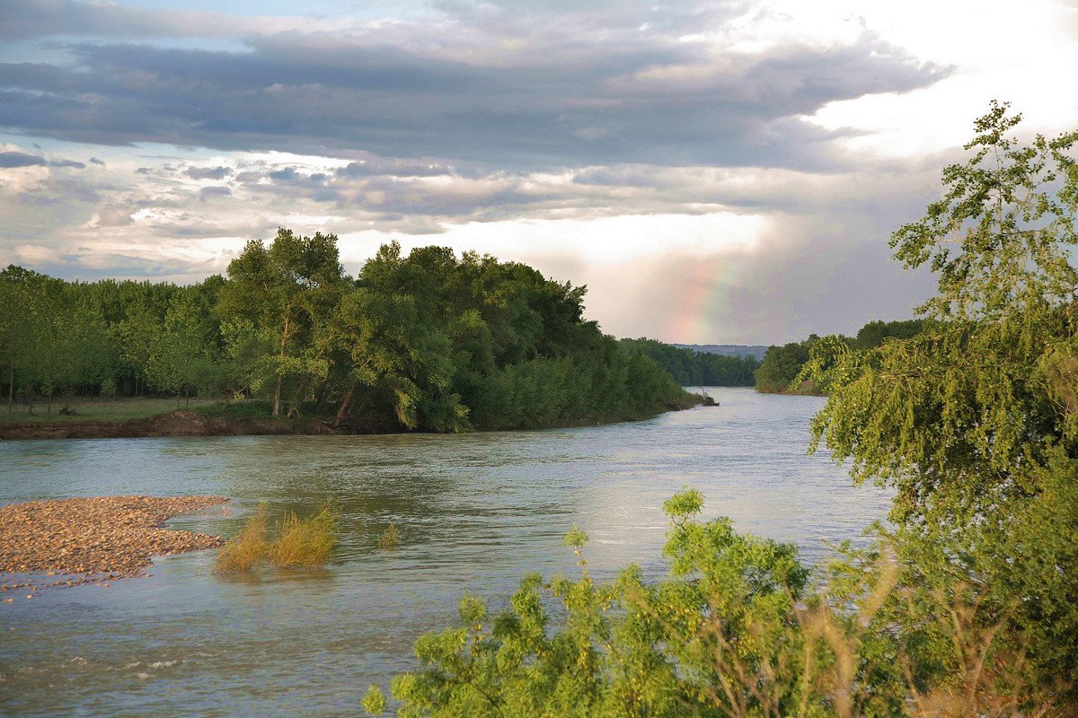 Reserva Natural de los Sotos de Alfaro