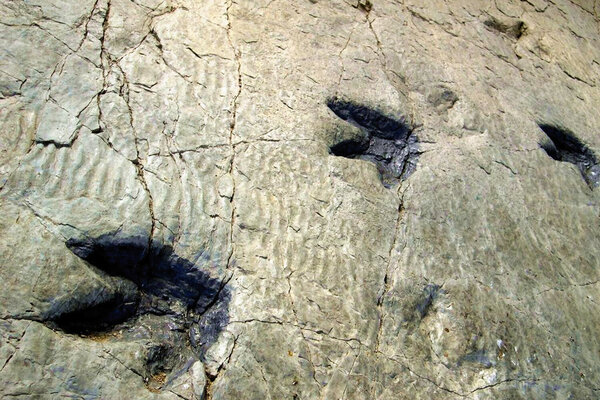 Yacimientos de icnitas de Cornago