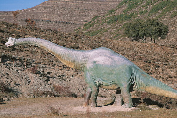 Yacimientos de icnitas de Enciso