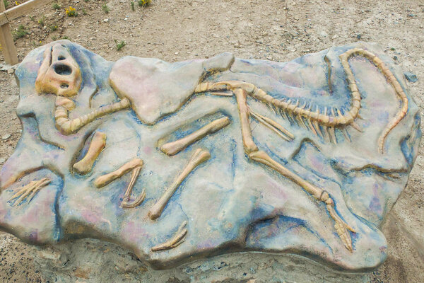 Yacimientos de icnitas de Igea